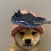 sea shoes (@seash0es) 's Twitter Profile Photo