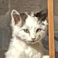 MommyRain_'s profile picture. Your local Femdom reposting hot shit