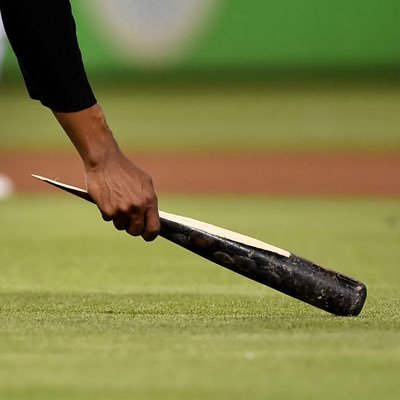 brokenbatbloop's profile picture. Looks like a line drive in the book!
