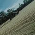 Hamish Potton (@hamishpotton) Twitter profile photo Hamish Potton (@hamishpotton) Twitter profile photo