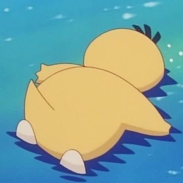 psyduck2224's profile picture. 