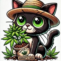 Mimiqts_Farm (@mimiqti) 's Twitter Profile