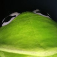 Wyatt Minor (@kermit_da_frog0) 's Twitter Profile