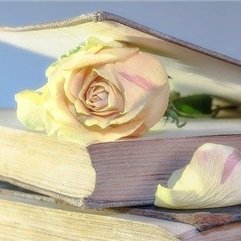 kimiko941588261's profile picture. お金の豆知識や有益情報など発信中。自分がお金に苦労したので生活に困っている人を救いたいと思い、わずかですが現金配布企画を実施中！ 支援中▷ https://t.co/EJO9XFjuu3