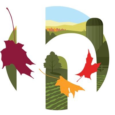 HaymanStudio's profile picture. Full service creative solutions studio. PHOTO + VIDEO + DESIGN