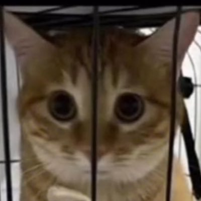 alexさんのプロフィール画像