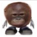 not bvd (@notbvd69) Twitter profile photo not bvd (@notbvd69) Twitter profile photo