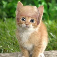 Madeline Foster (@momcat99580359) 's Twitter Profile Photo Madeline Foster (@momcat99580359) 's Twitter Profile Photo