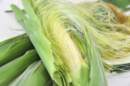 千葉の成田で有機栽培や特別栽培のお野菜を作る農家さんと　野菜と農産加工品の販売をしています
人参ジュースや野菜のジャムなども販売しております！