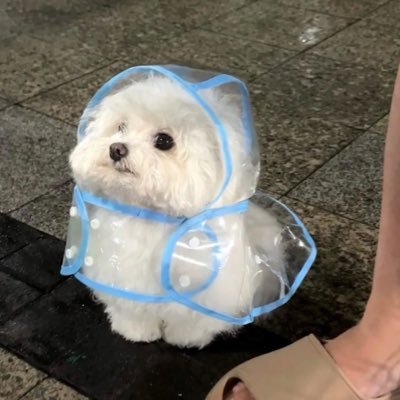 urfavesaddie's profile picture. 