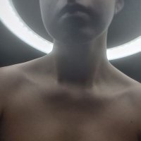 Alex (@alexlima715) 's Twitter Profile