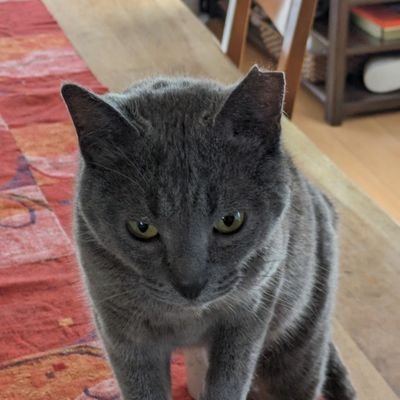 hgsktaro's profile picture. 読書とゲームが好きです。チラシの裏