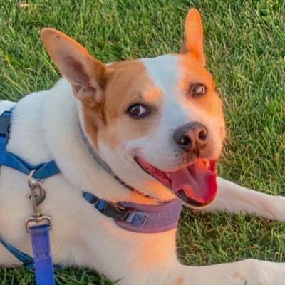 georgiaear's profile picture. 