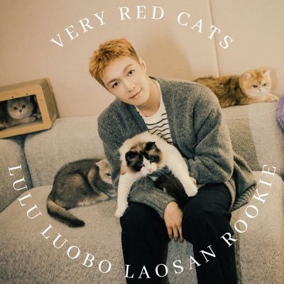 update acc for @layzhang’s cats: Lulu, Luobo, Laosan & Rookie | FAN ACC ONLY