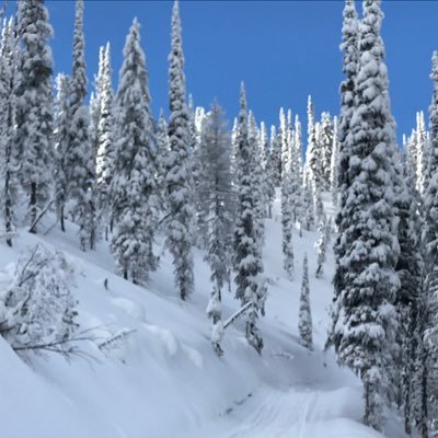 TNLiberty406's profile picture. 