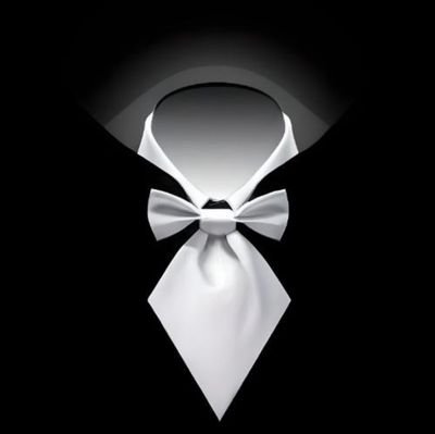 sxnksati's profile picture. i prompt , therefore i am