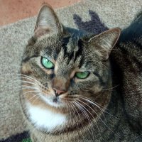 Jola _🦋 (@jola1654974) 's Twitter Profile