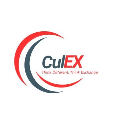 Culex_jnr's profile picture. 🌐 CryptoEnthusiast | Software Engineer | Content creator | Ambassador