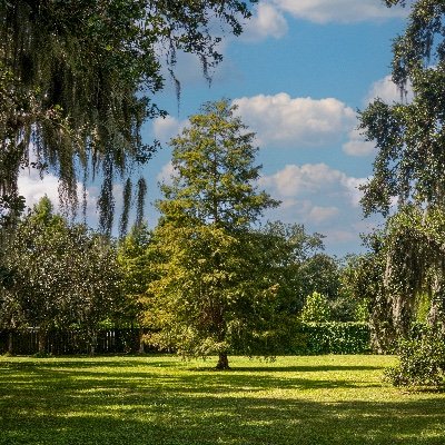 Advocating for the tree canopy of New Orleans since 2023.
https://t.co/hphzmTgj3U