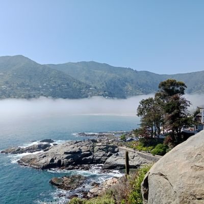 slutt360's profile picture. chileno
17
tiren al dm