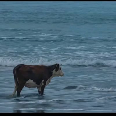 MukhlisY1478's profile picture. nothing special.