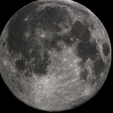 PandixL's profile picture. 