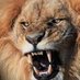jfra79601@gmail.com (@jfra7960175102) Twitter profile photo jfra79601@gmail.com (@jfra7960175102) Twitter profile photo