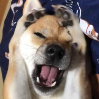 ぼぼ (@immjb5x8u9akn7a) 's Twitter Profile Photo ぼぼ (@immjb5x8u9akn7a) 's Twitter Profile Photo
