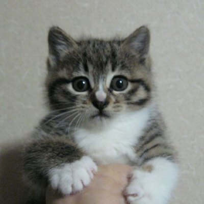 @adhd_jeeba
