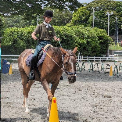 swamyon's profile picture. 親子で可愛いものが大好きです❤
 特に娘は騎乗も競馬場観戦も大好きな馬娘です♥️

神宮球場が空席ばかりの時からのヤクルトファンです⚾今は沢山のちなヤクで神宮が埋まるようになったのが嘘みたいです