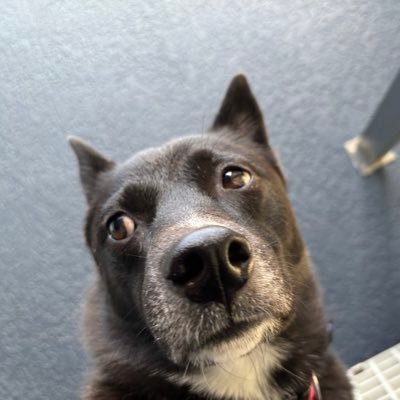 hitoshi_ono's profile picture. 