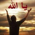 علي المؤيد (@lylmwyd7) 's Twitter Profile