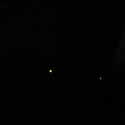 giveitagoo's profile picture. B'z 落合博満 ラジオ、路面電車、英語、歴史、犬