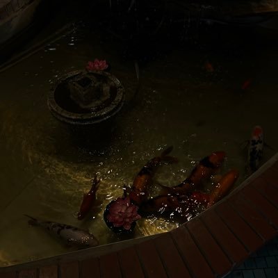 yourcozynigga's profile picture. 25🇳🇬, love em natural