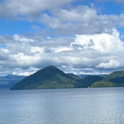 おいしいカレーさんのプロフィール画像