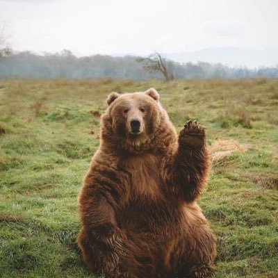 Lemonary__'s profile picture. 