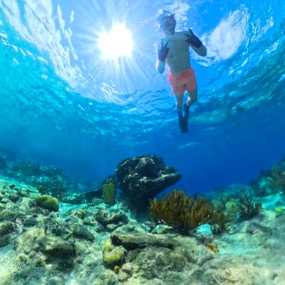 BT3SSA's profile picture. Comparison is the thief of joy