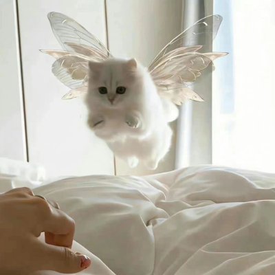 Doncsxllard's profile picture. 成熟した気質とは、風雨を乗り越えた後の優しさです。🍸