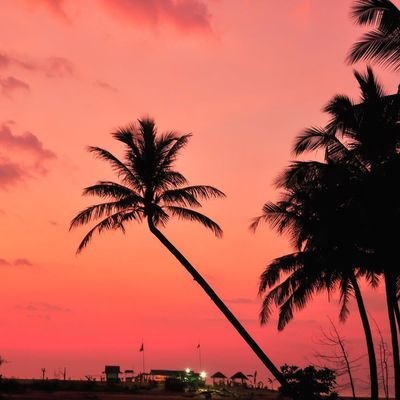 _Shapeshifterr's profile picture. Gender Expert . #jesus✝️🩷