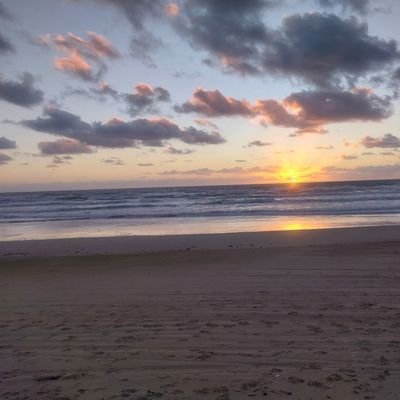 LanternDev0's profile picture. 24/M
Just a silly Tanook.

You probably don't know me, unless you do.