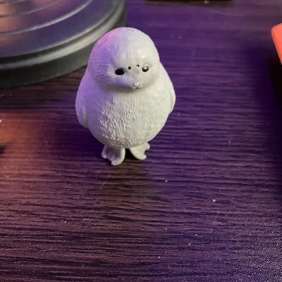 tecci080808's profile picture. 