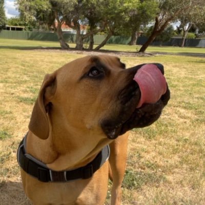 Nikopanos27973's profile picture. 