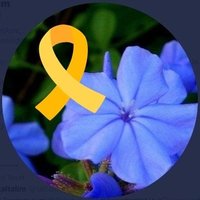tali taltalim 🎗️ (@taltalim_tali) 's Twitter Profile Photo tali taltalim 🎗️ (@taltalim_tali) 's Twitter Profile Photo
