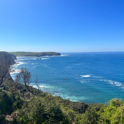 Graham25Matthew's profile picture. Matt