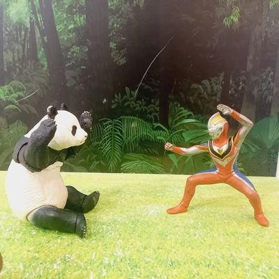 しらたきさんのプロフィール画像