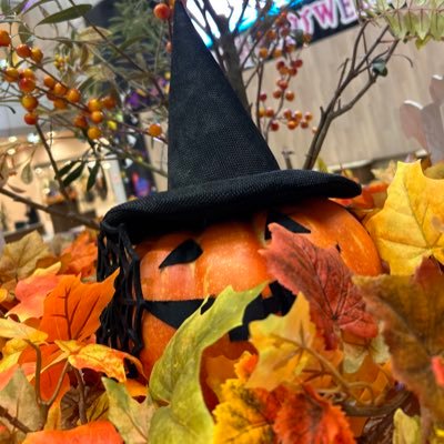 tomi_tomi3712's profile picture. 