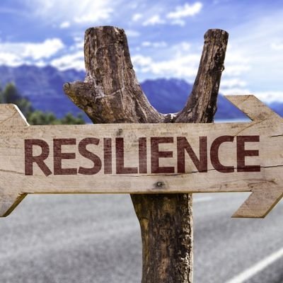 MpuyaPatri5875's profile picture. Entrepreneur| DG de Pat logistique LTD
La politique ma passion 🇨🇩🎯