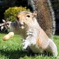 rhys (@rhys57683332) 's Twitter Profile