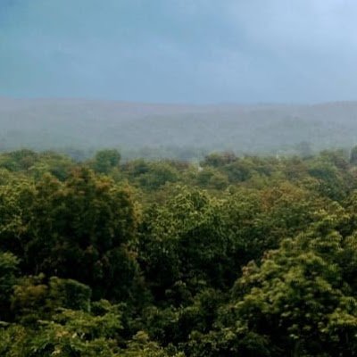 UjjwalKuma58823's profile picture. Hi It's MR Ujjwal Kumar