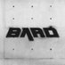 BARD Test (@bard_test) Twitter profile photo